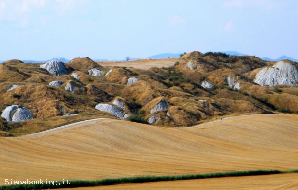 Tour N°1 del chianti e delle crete senesi