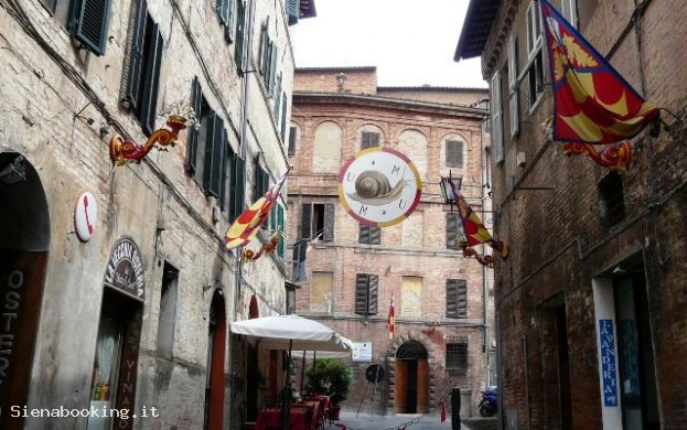 Contrada della Chiocciola